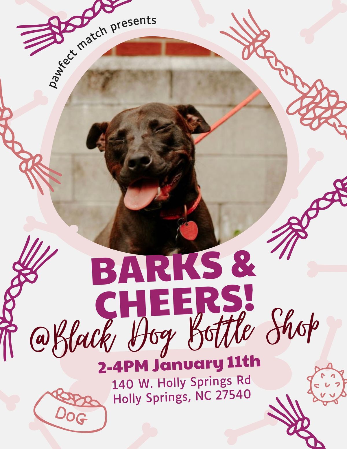 Barks & Cheers!