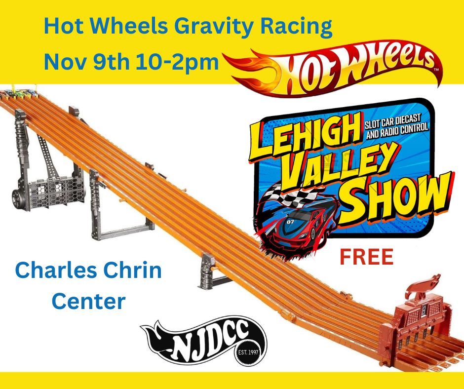 Hot Wheels Diecast Gravity Racing