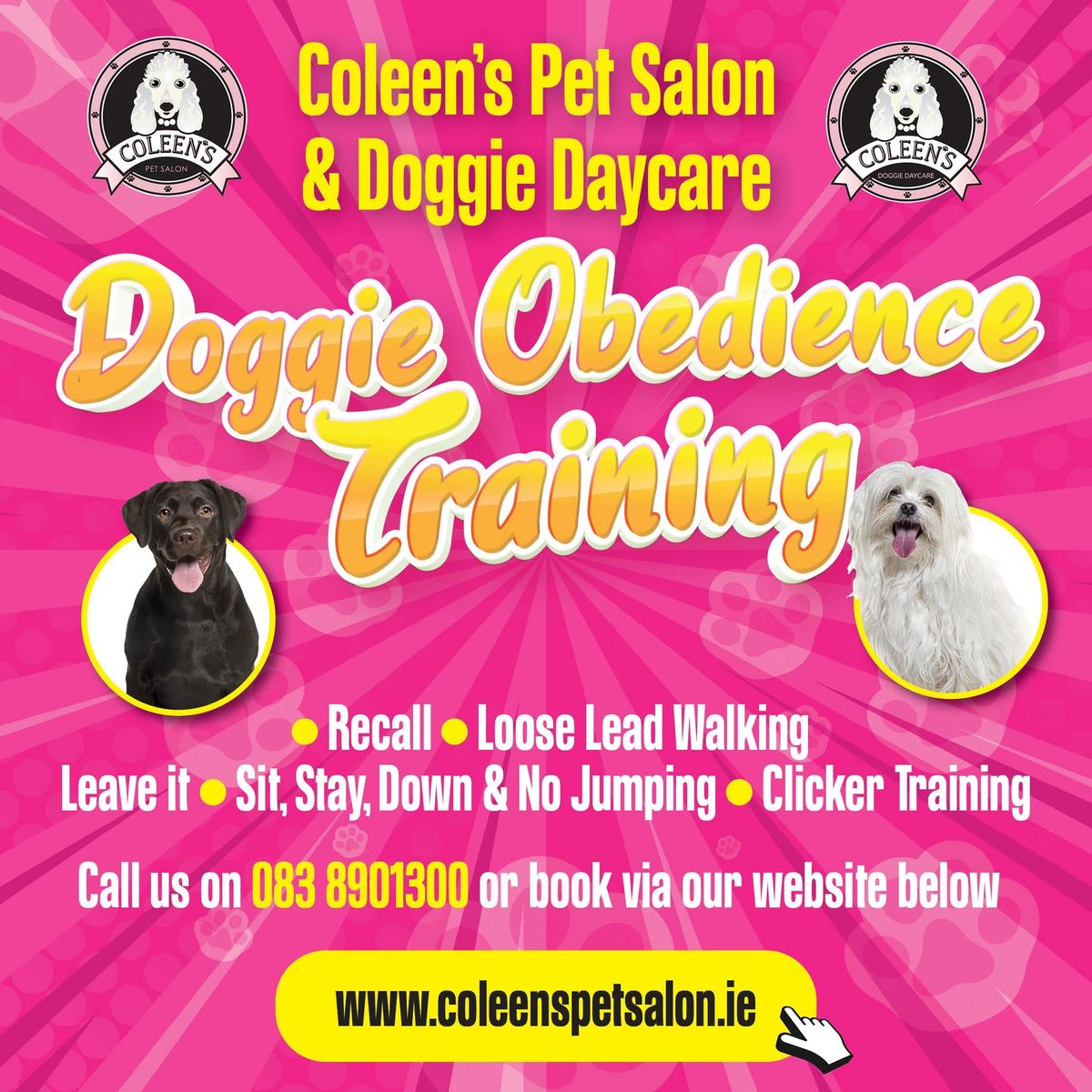 Doggie Obedience Course