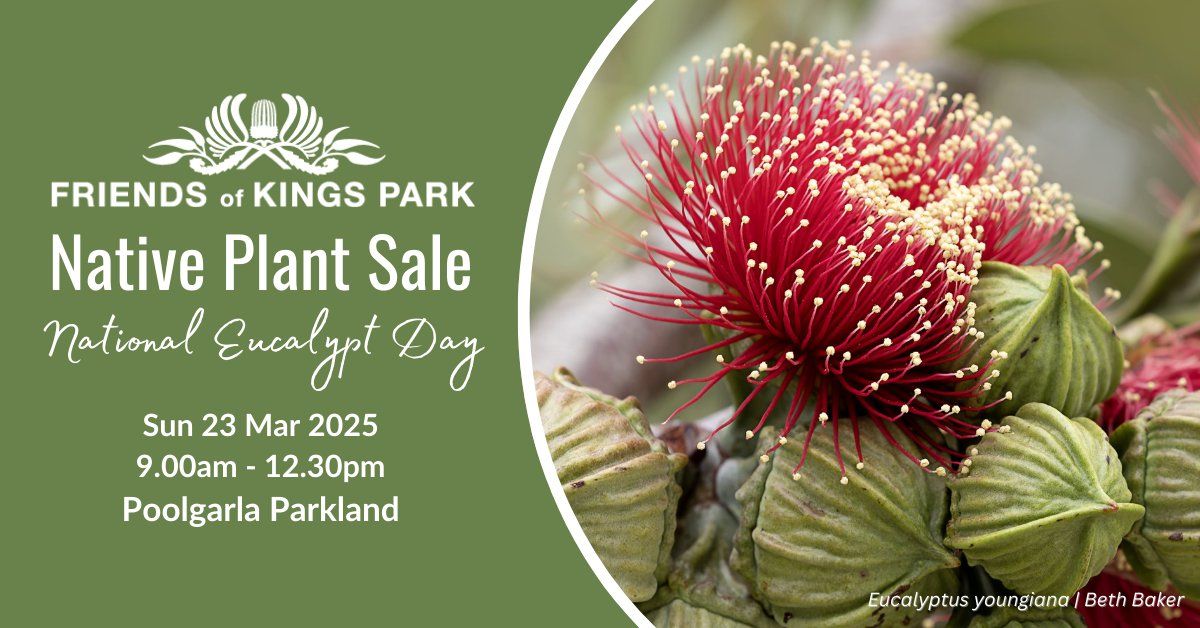 Friends of Kings Park Native Plant Sale & National Eucalypt Day Celebration