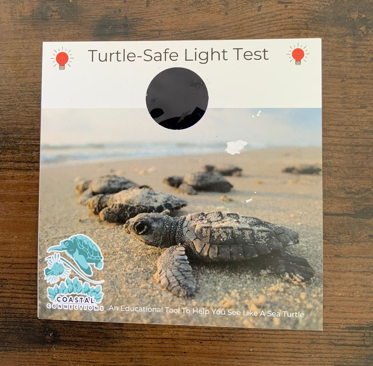 Turtle-Safe Light Kit Assembly! 