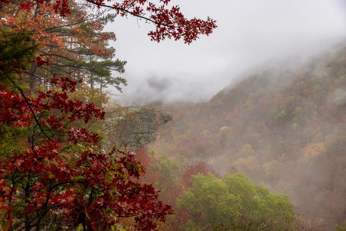 Buffalo Fall Color Photo Retreat