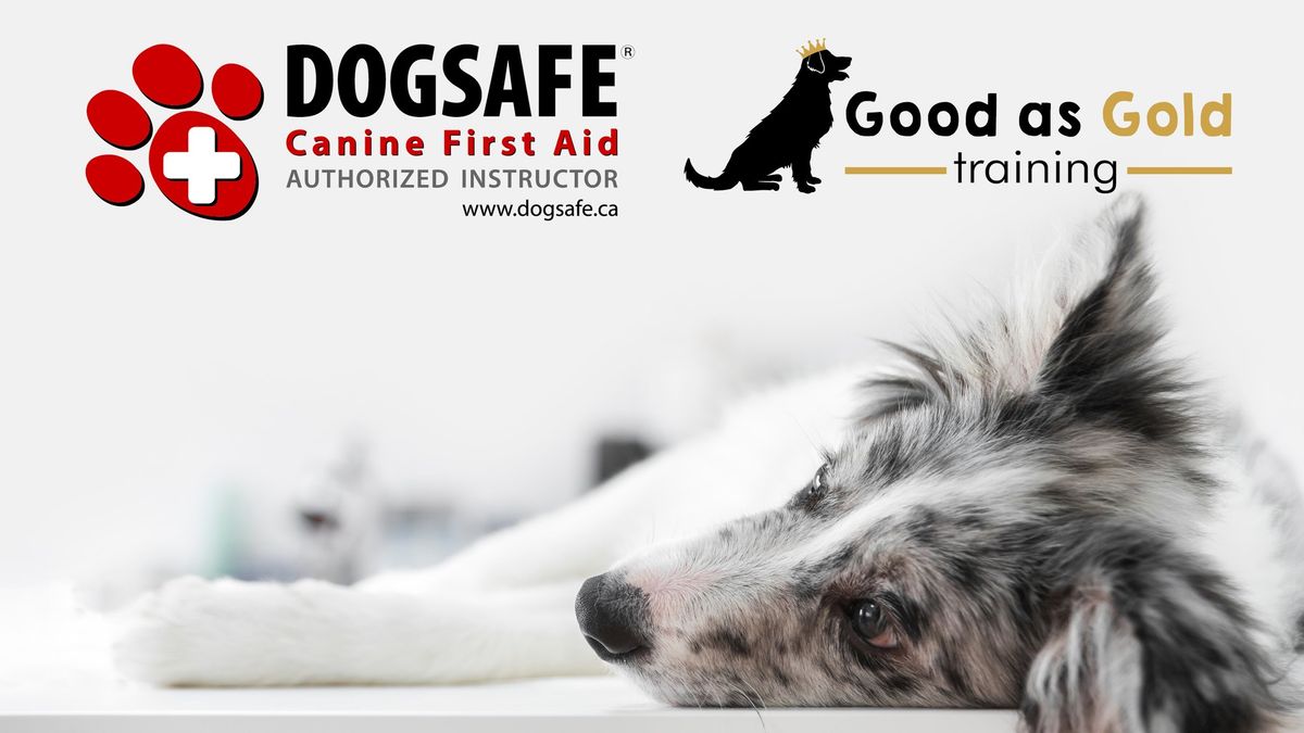 Dogsafe Canine First Aid 101