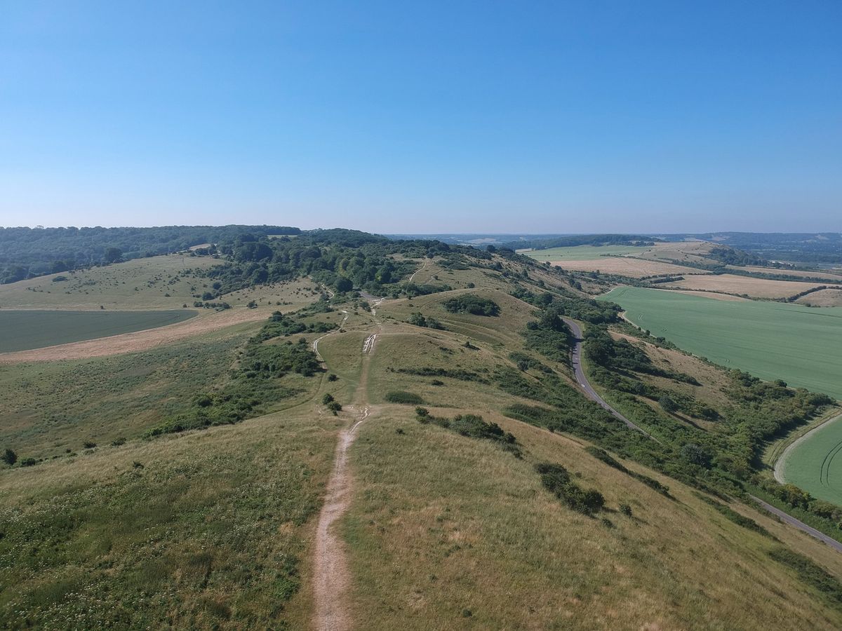 Ashridge Boundary Run 2025