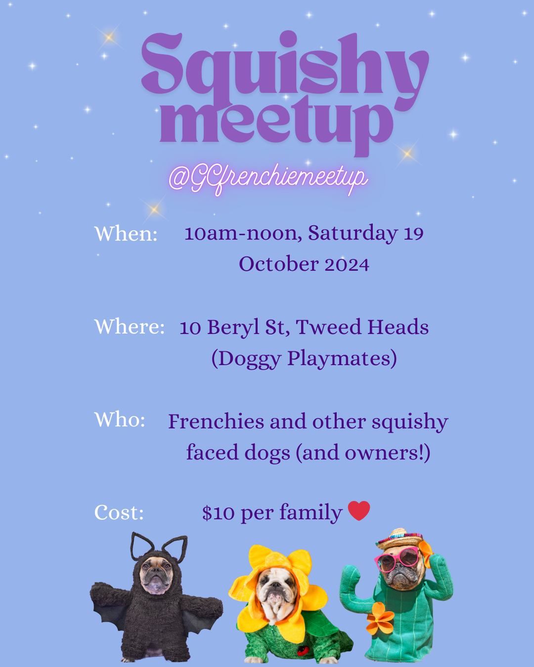 French Bulldogs, Pugs, & Other Squishy Faced Dogs Social Meet-Up!