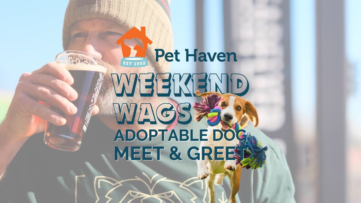 Weekend Wags! Adoptable Dog Meet!