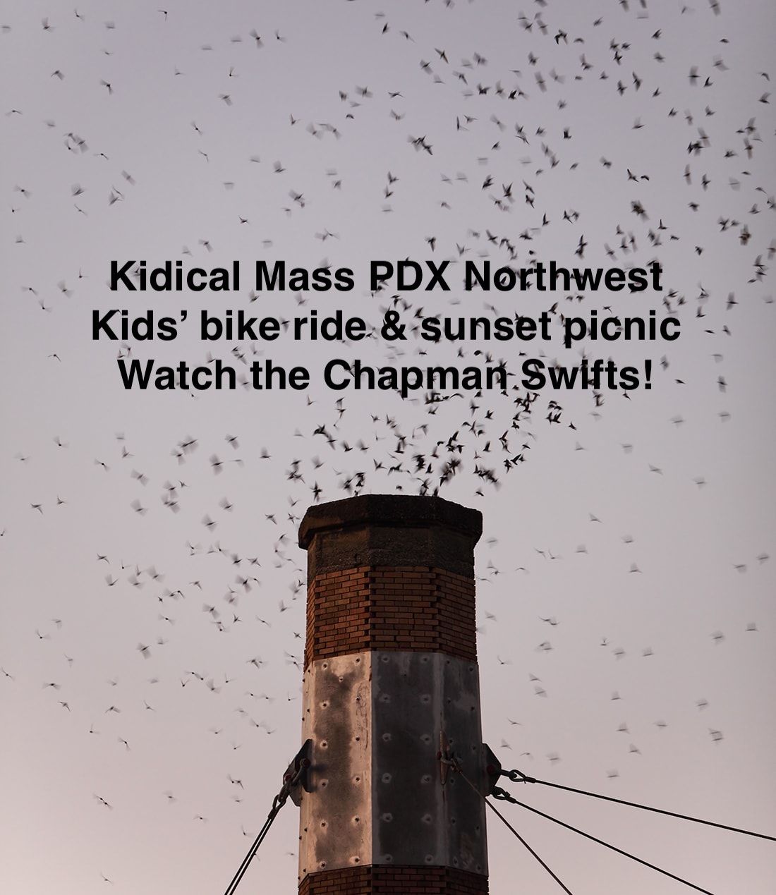 Kids bike ride to watch the swifts at Chapman and picnic at sunset