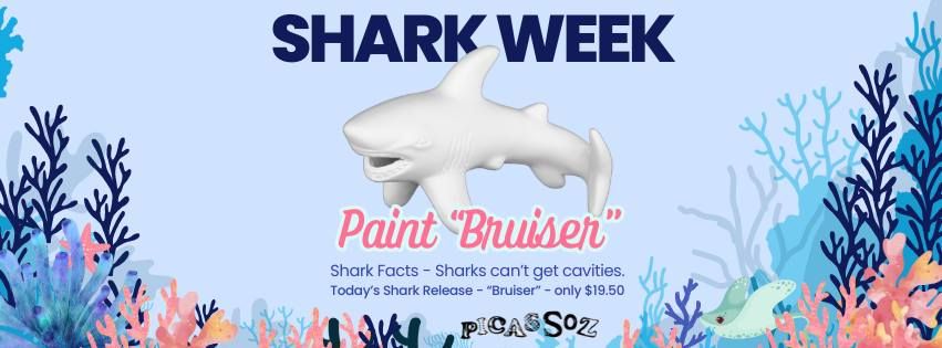 Shark Week - "Bruiser" Shark Release