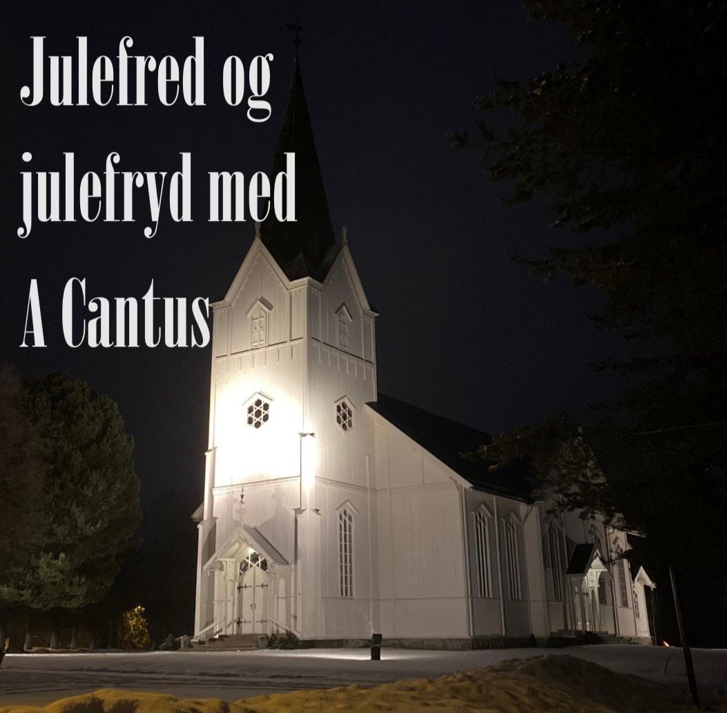 Julefred og julefryd med A Cantus