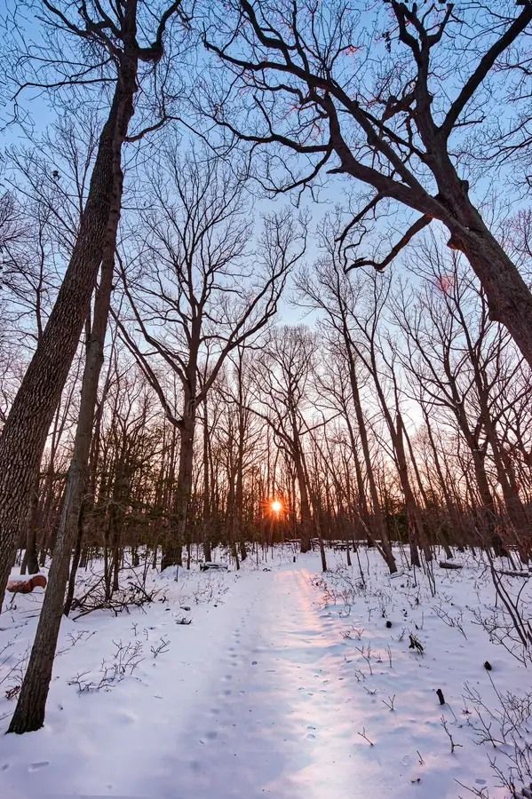 Midwinter meditation and hike