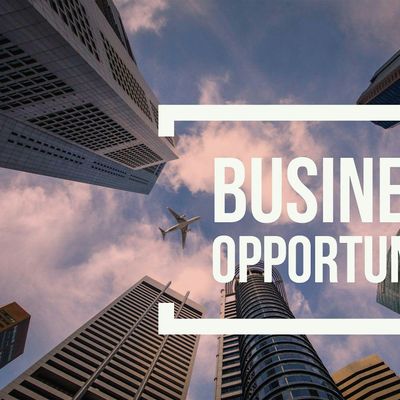 BUSINESS OPPORTUNITY NETWORKING MEETING