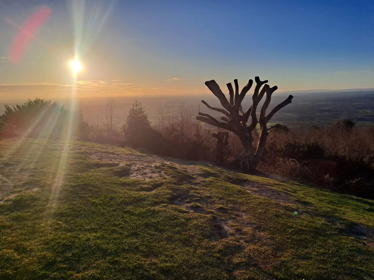 The Surrey Hills Marathon 