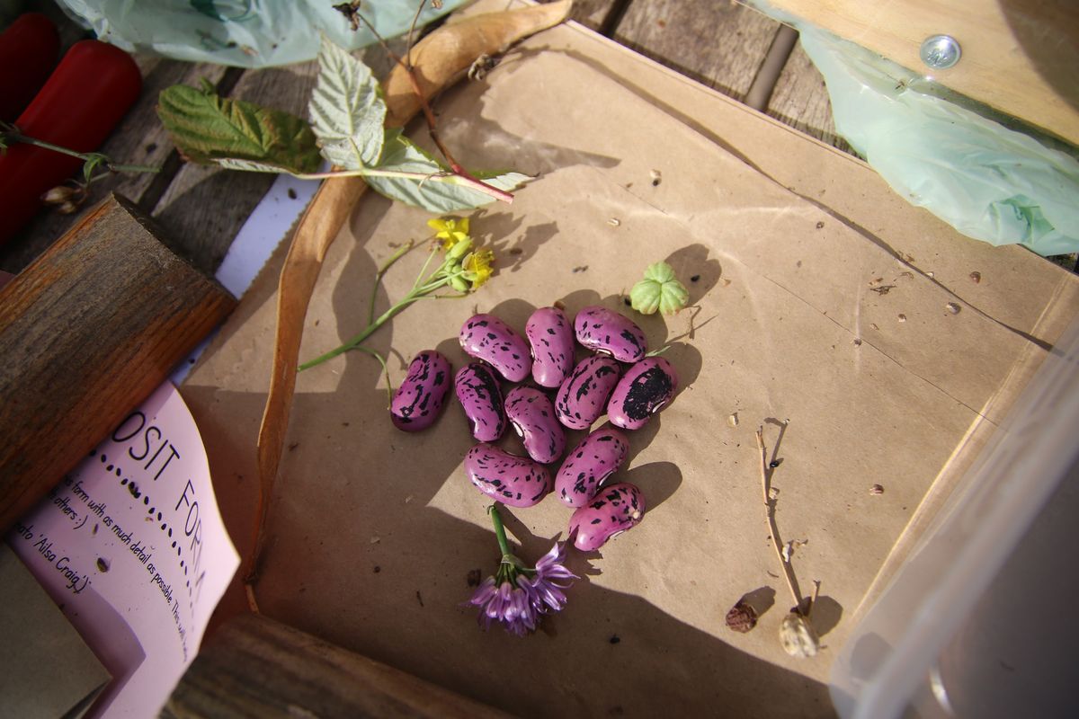 Seed and Song with Glasgow Seed Library