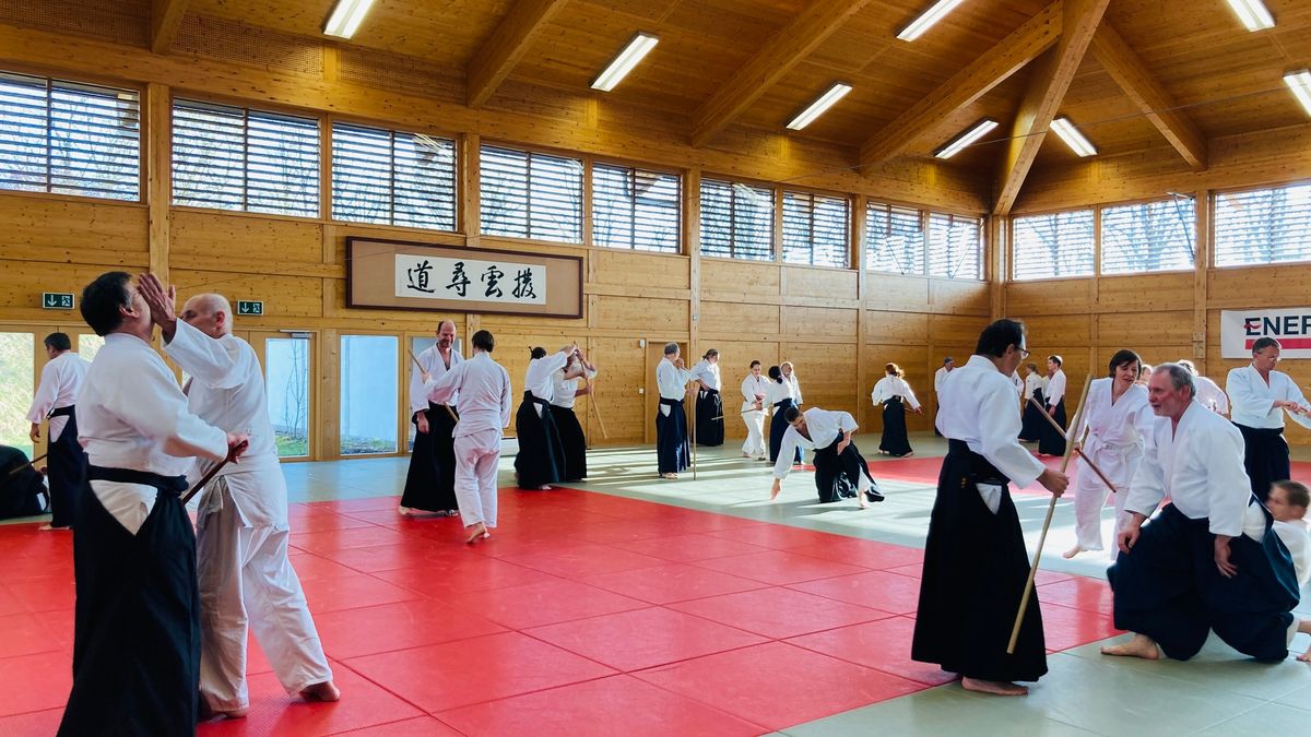 Aikido Seminar with G\u00fcnther Steger 6. Dan