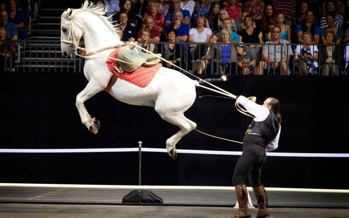 Gala Of The Royal Horses