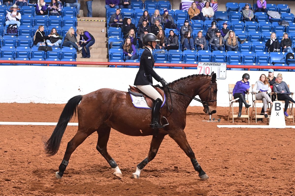 FWSSR Stock Show Bowl