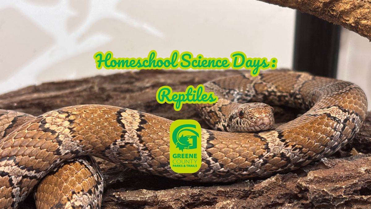 Homeschool Science Days: Reptiles