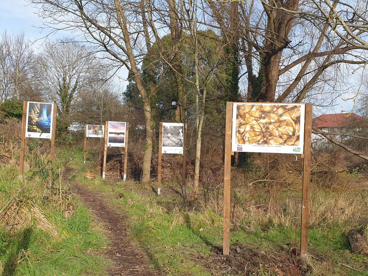 The EWG Wildlife Photography Exhibition is in Greenford!