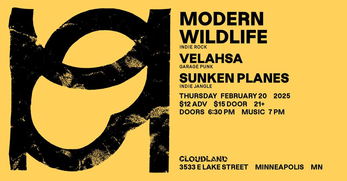 Modern Wildlife Velahsa Sunken Planes 