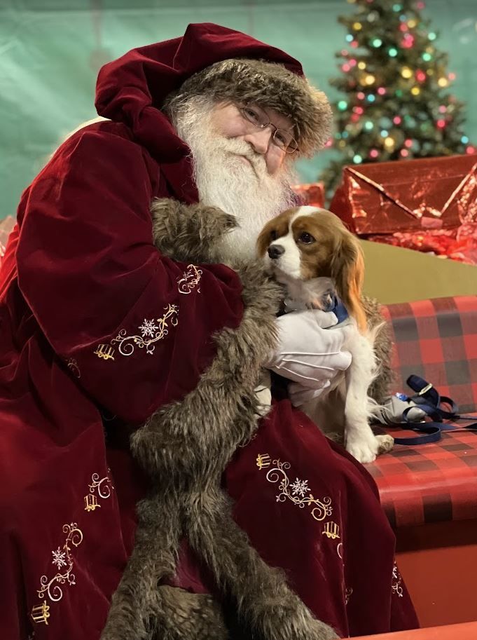 Claus and Paws