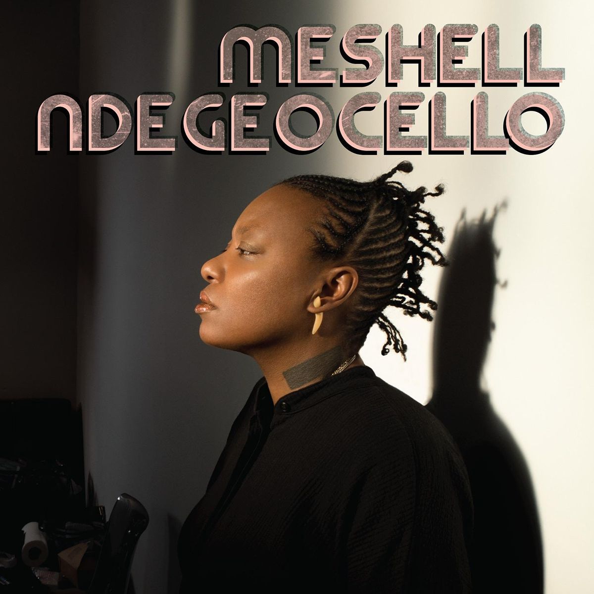 MESHELL NDEGEOCELLO