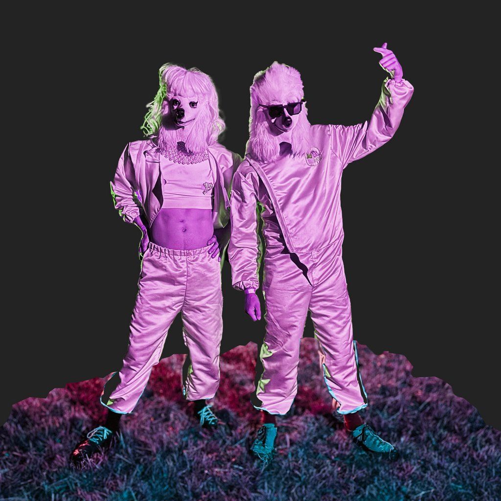 Dogshow - Album Launch Tour