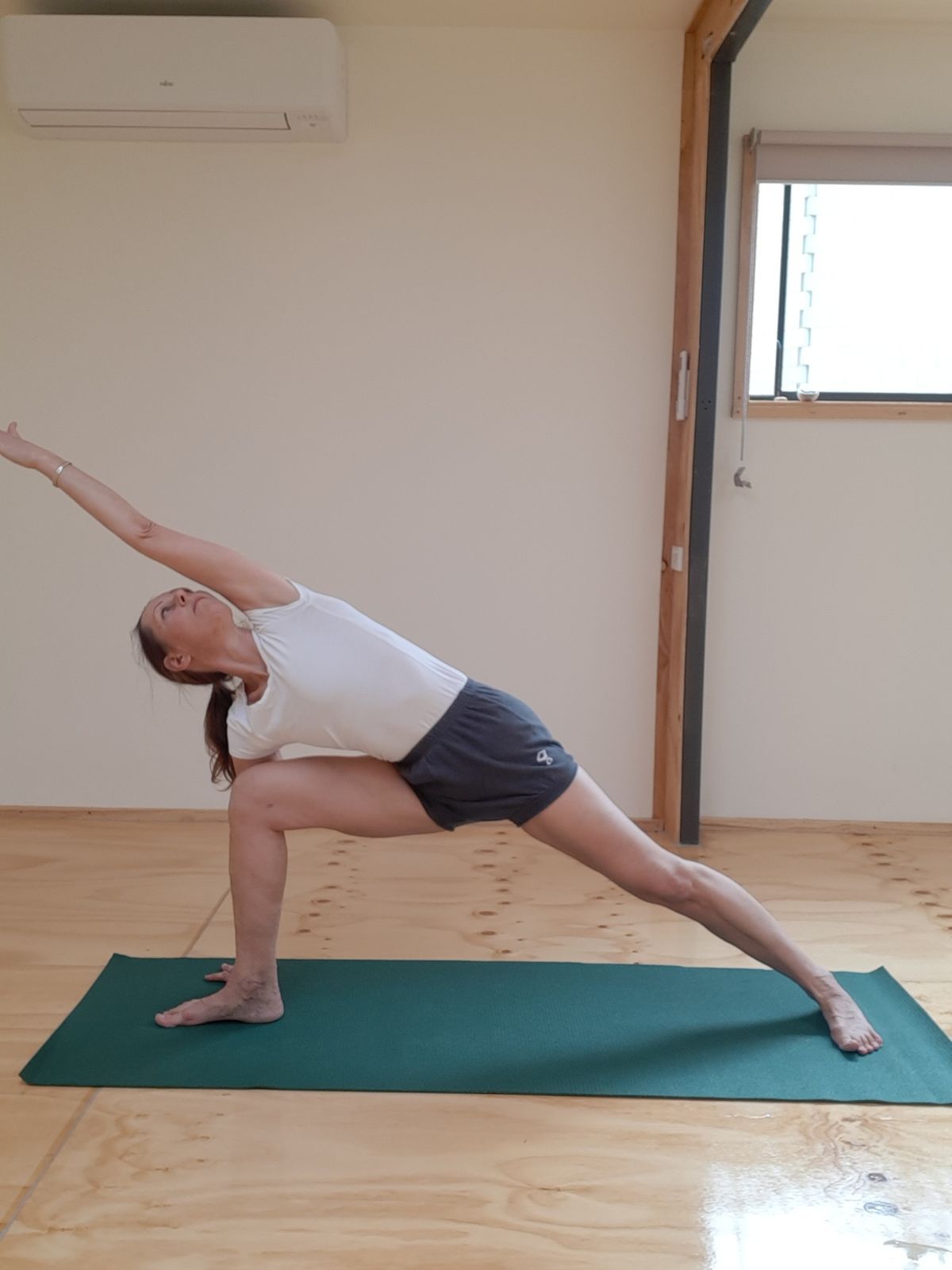 Iyengar Yoga Introductory Course