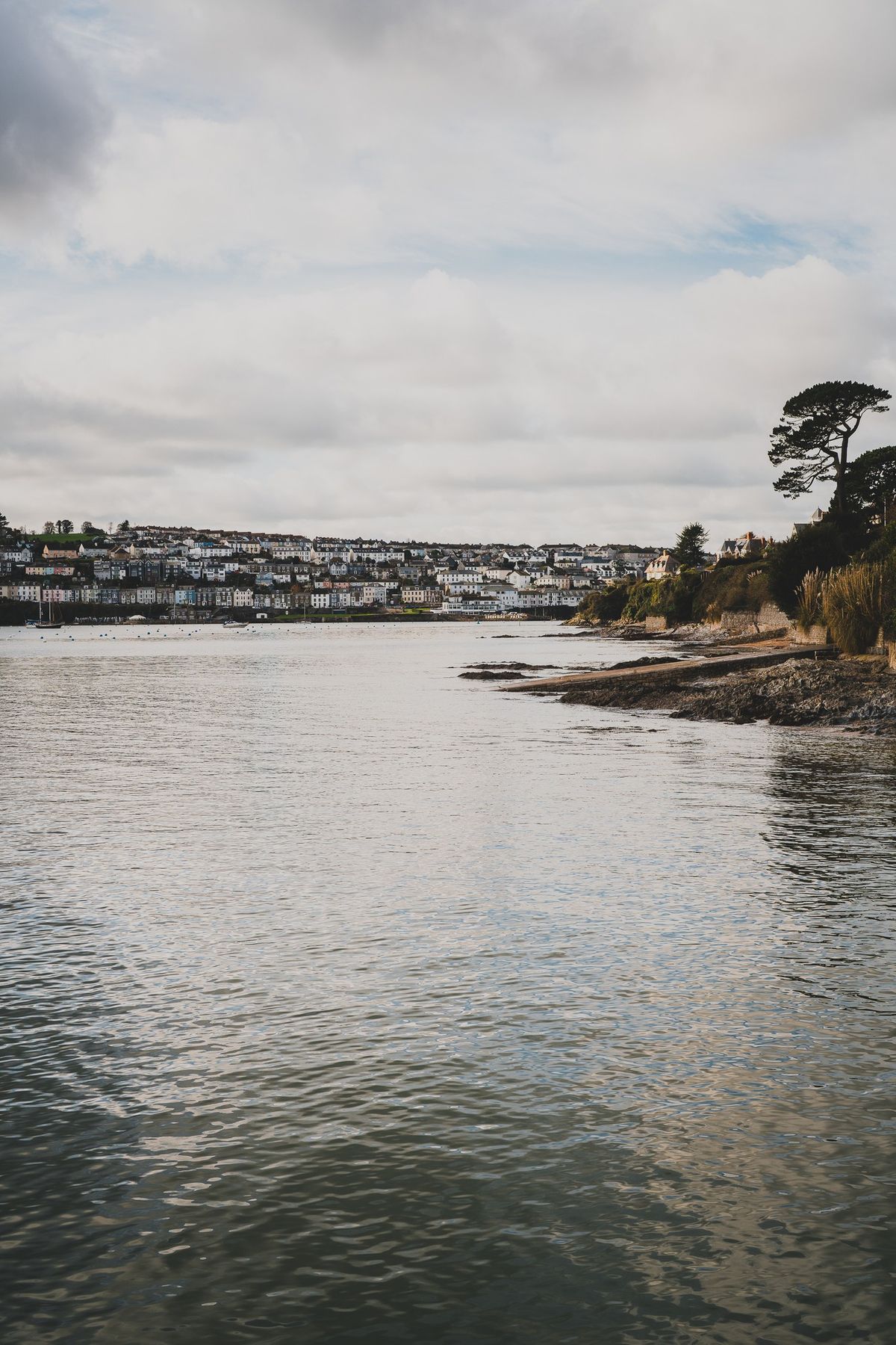 Harbour House Swim Club 