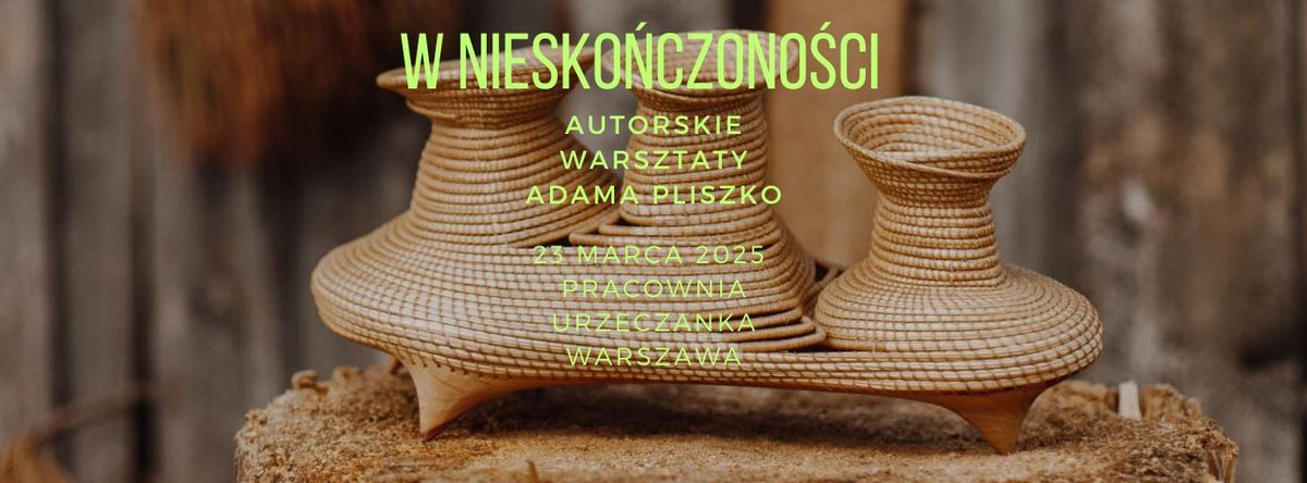 W niesko\u0144czono\u015bci. Dalsze kroki. Autorskie warsztaty Adama Pliszko