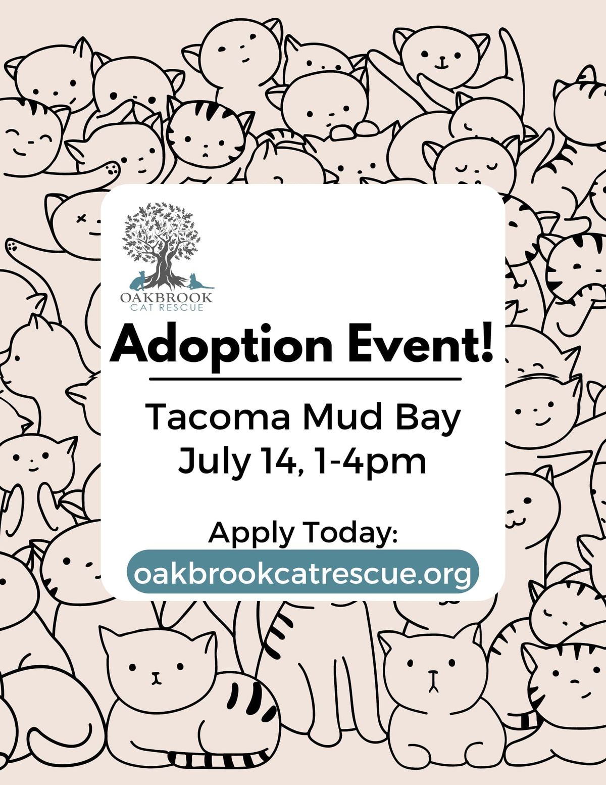 Adoption Event at Tacoma MudBay 