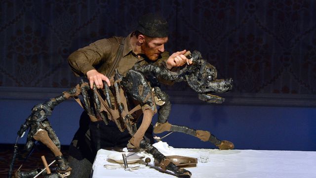 Puppetry in Performance: using puppets and objects for creativity and storytelling