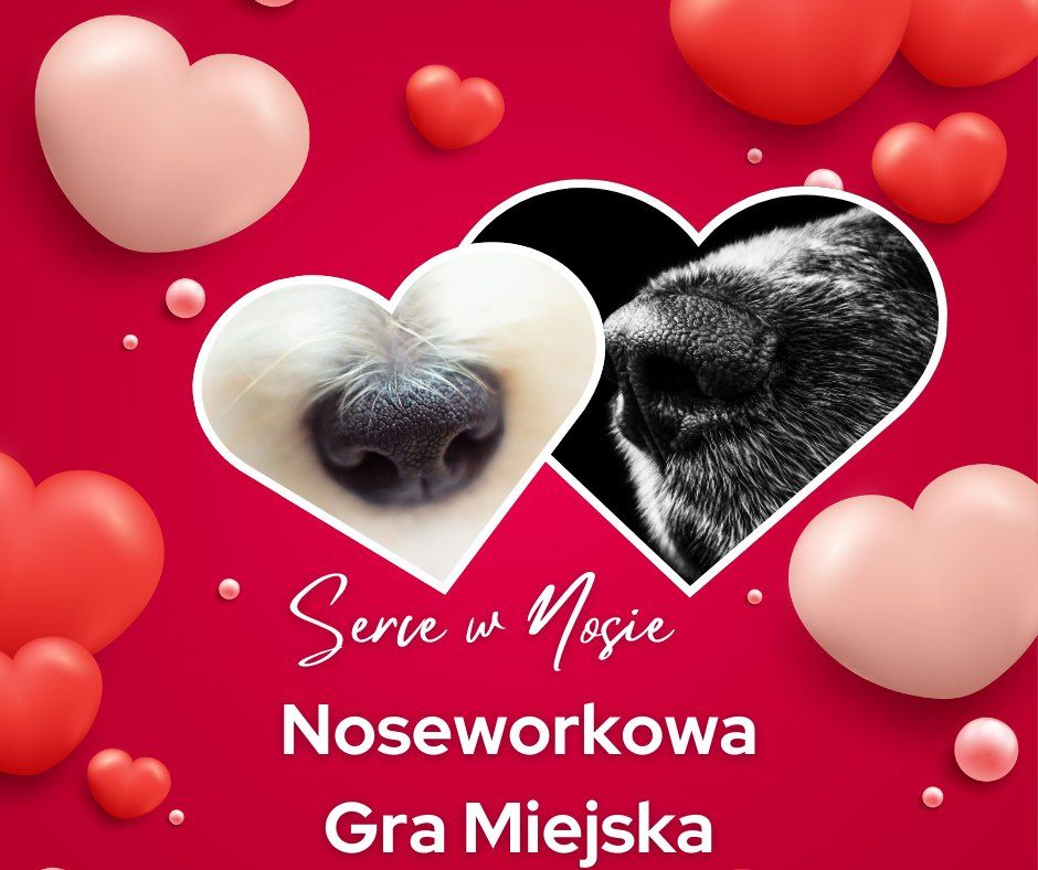 Serce w Nosie - Noseworkowa Gra Miejska 