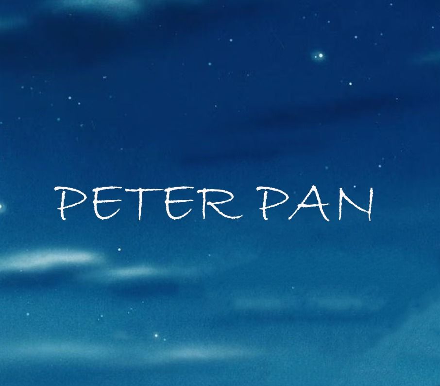 Weihnachtsm\u00e4rchen - Peter Pan