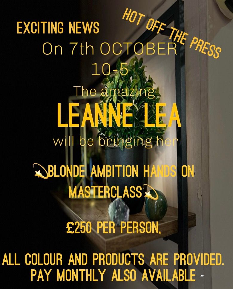 Blonde Ambition hands on masterclass with Leanne Lea education 