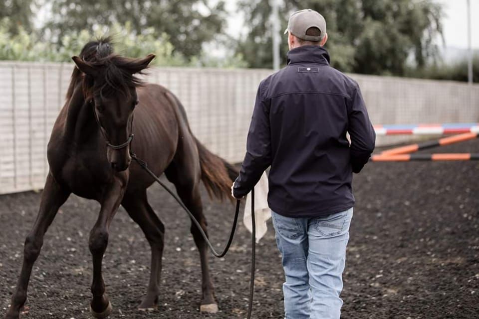 Horsemanship 101 Clinic