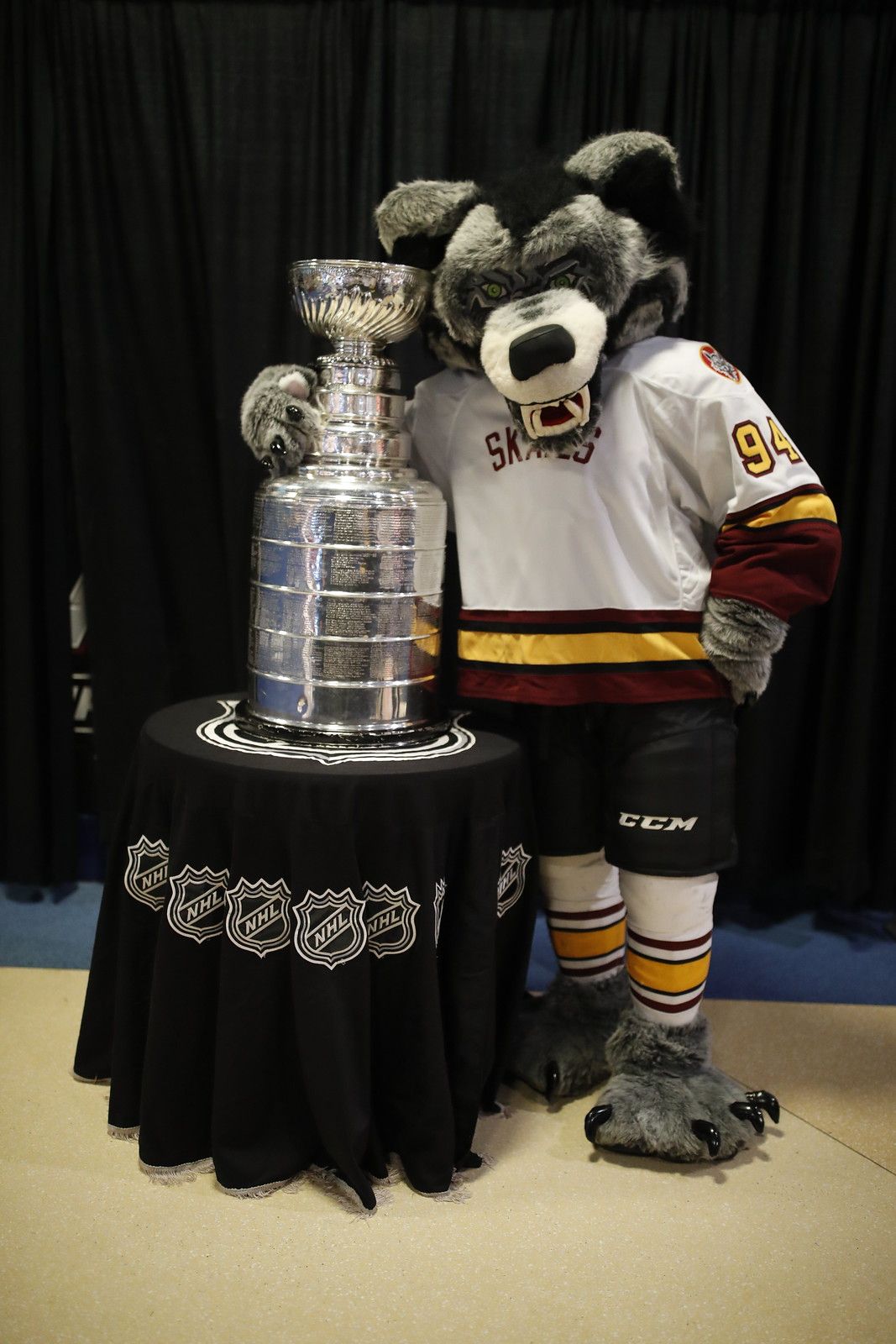 Chicago Wolves at Texas Stars at HEB Center at Cedar Park