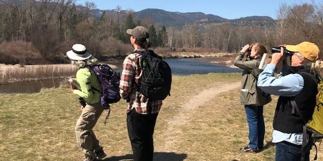 "Booming" to Lee Metcalf NWR with Birder\/Author Sneed Collard