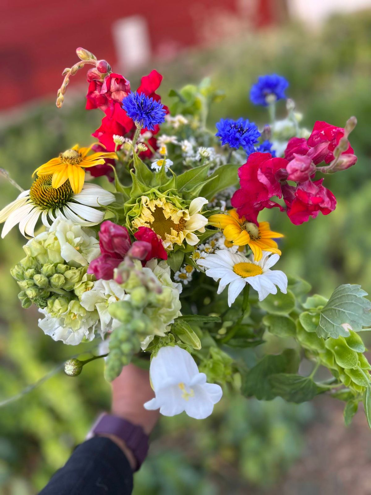 4th of July Farmstand