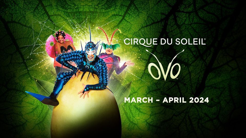 Cirque Du Soleil : Ovo