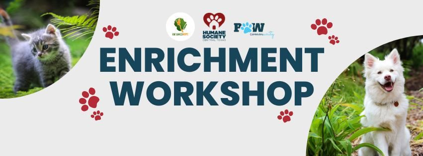 Enrichment Workshop for Dogs & Cats 