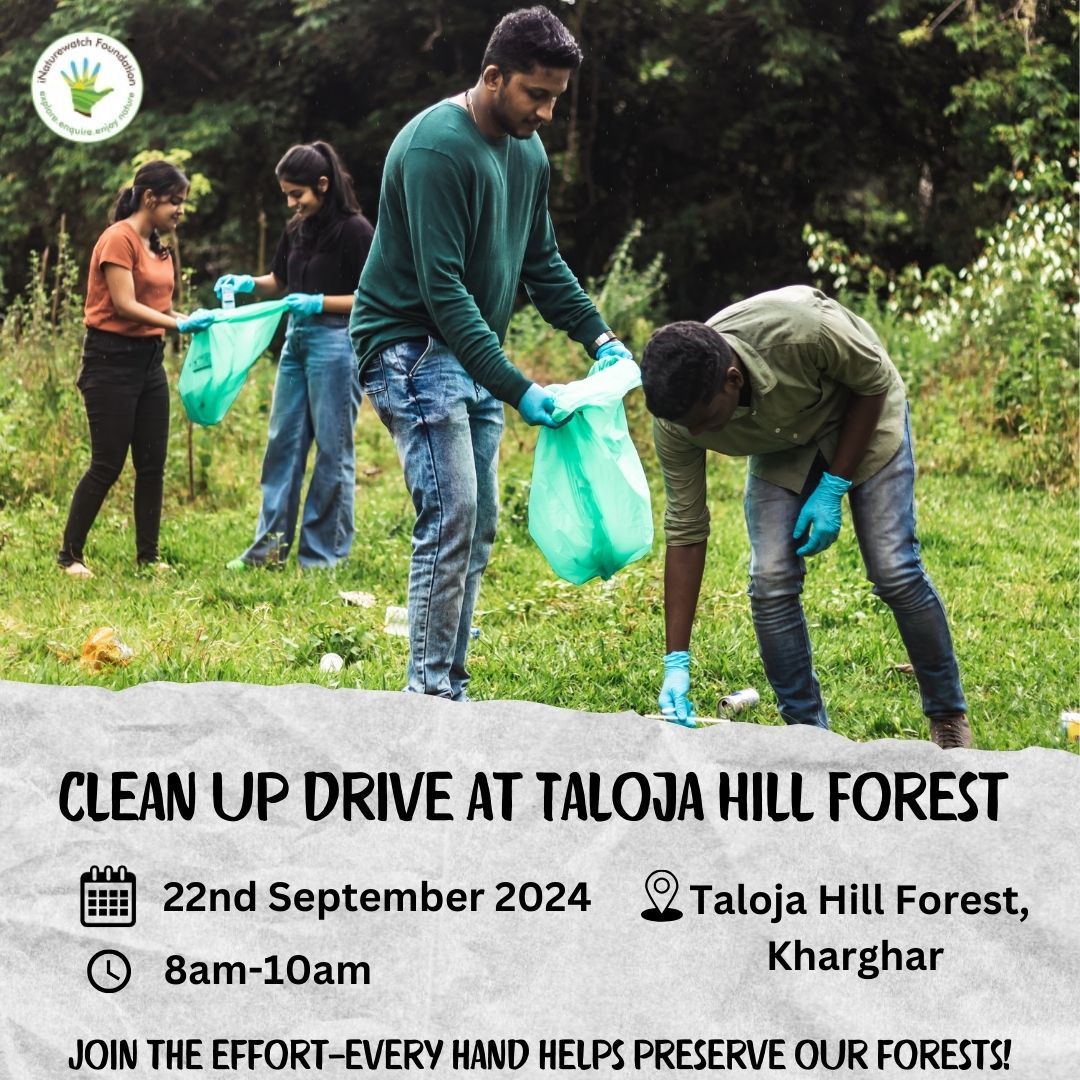 Clean up drive at Taloja Hill Forest 