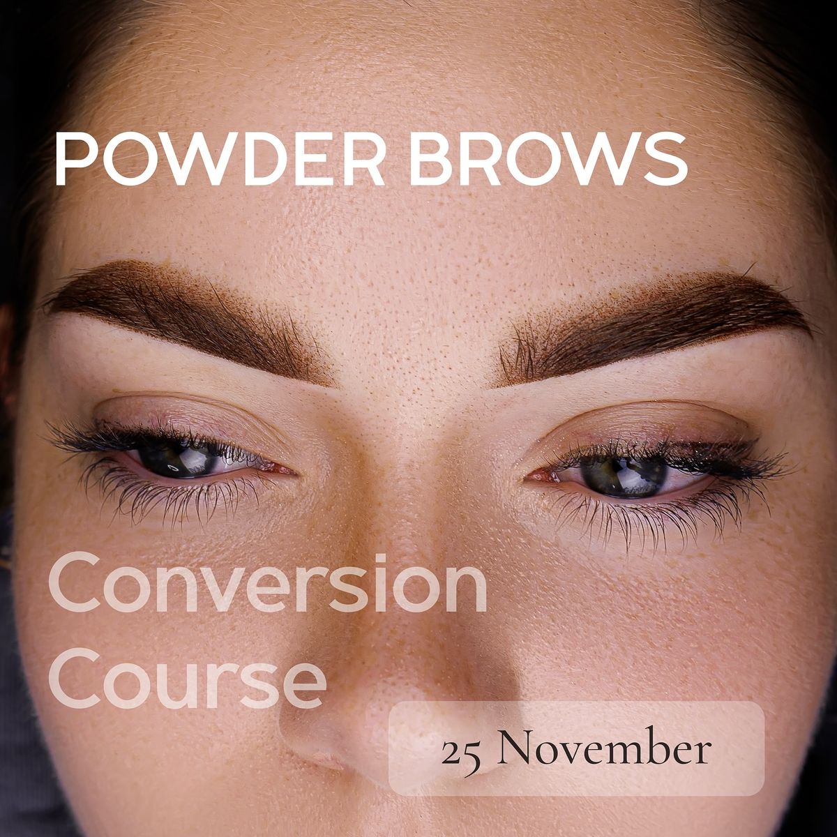 Powder Brows Conversion Course