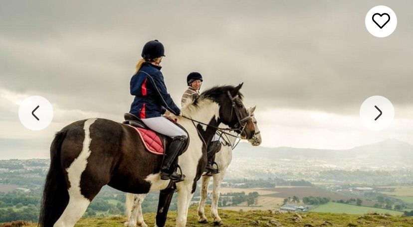 Dublin to Wicklow, Glendalough Small Group Tour with Horse Riding