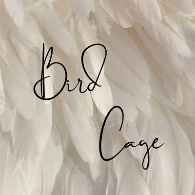 Bird Cage Events
