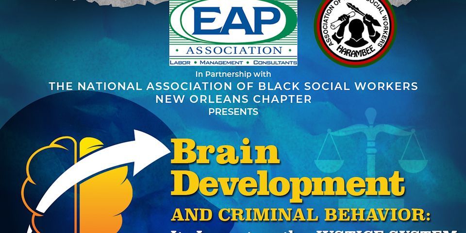 Brain Development and  Criminal Behavior: Its Impact on the Judicial System
