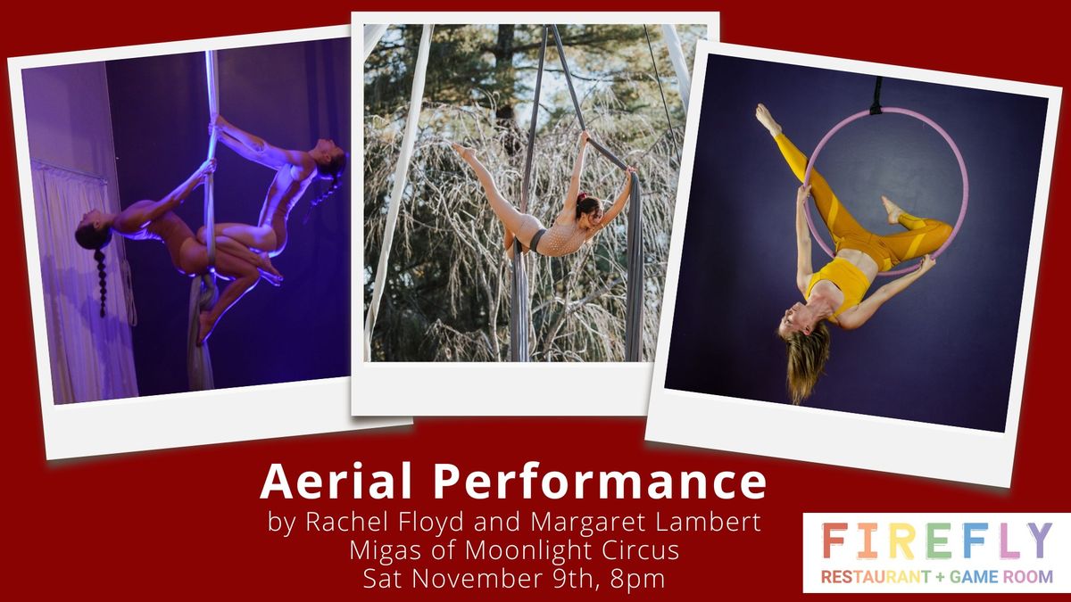 Indoor Aerial Performance at FIREFLY