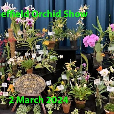 Sheffield and District Orchid Society