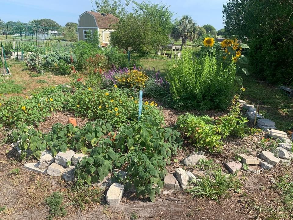Beaches Organic Community Garden Open House and Workday
