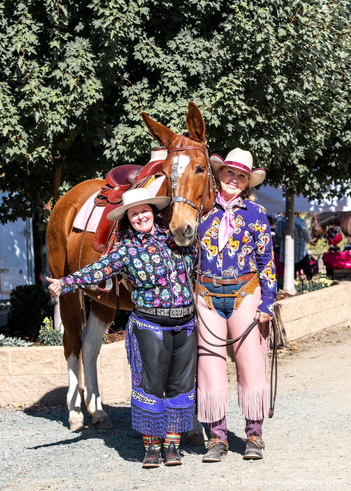 Riding To Success w\/Lyn Ringrose-Moe & JoAnn Gillespie Cowboy Dressage, Working Equitation , USDF