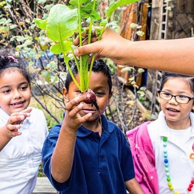 Fresno Garden Collective